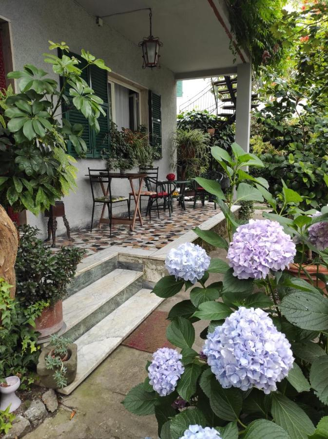 Casa Cambini Bed & Breakfast Marina di Massa Bagian luar foto