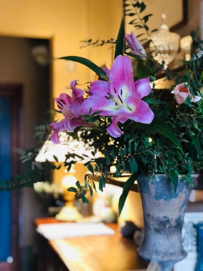 Casa Cambini Bed & Breakfast Marina di Massa Bagian luar foto