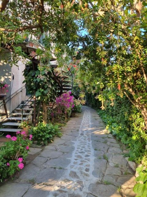 Casa Cambini Bed & Breakfast Marina di Massa Bagian luar foto
