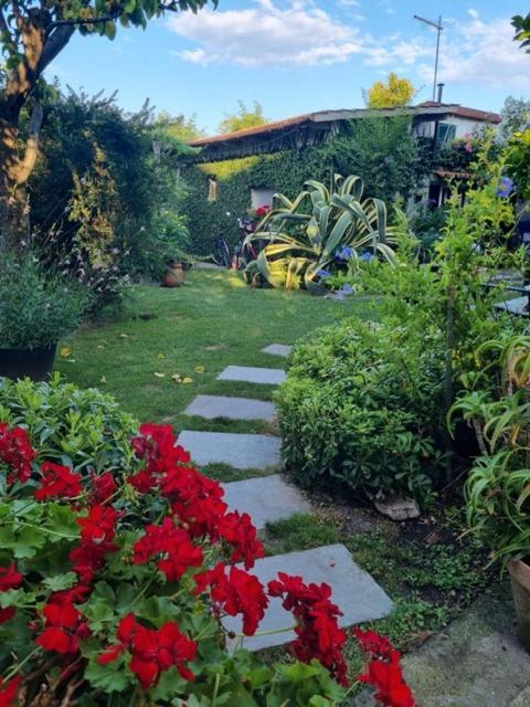 Casa Cambini Bed & Breakfast Marina di Massa Bagian luar foto