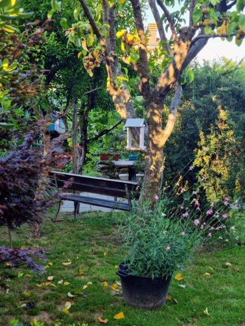 Casa Cambini Bed & Breakfast Marina di Massa Bagian luar foto